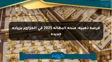 فرصة ذهبية: منحة البطالة 2025 في الجزائر بزيادة جديدة